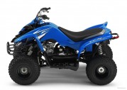 Yamaha YFM50 Yamaha YFM50